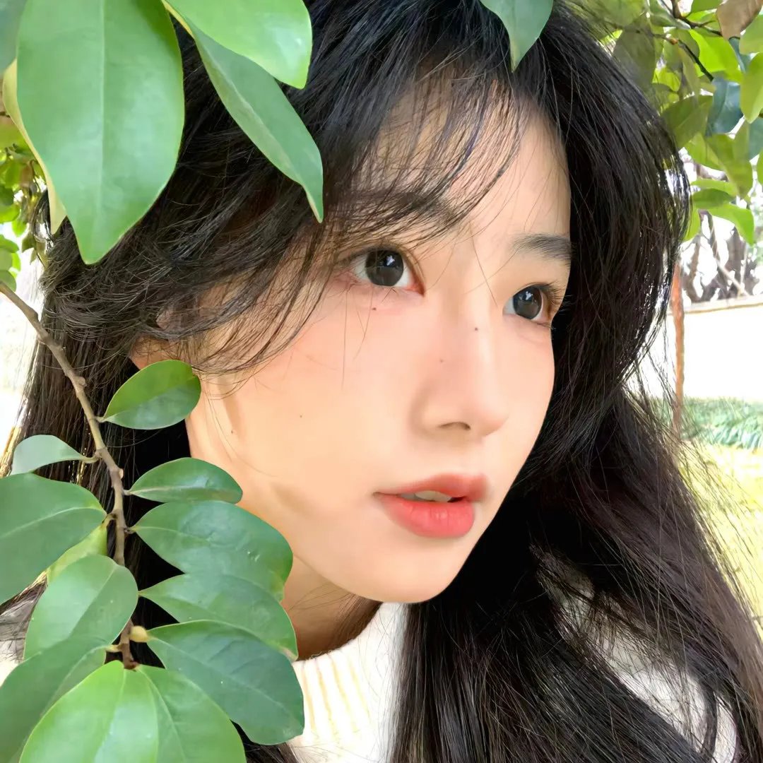 甜木兰第三季